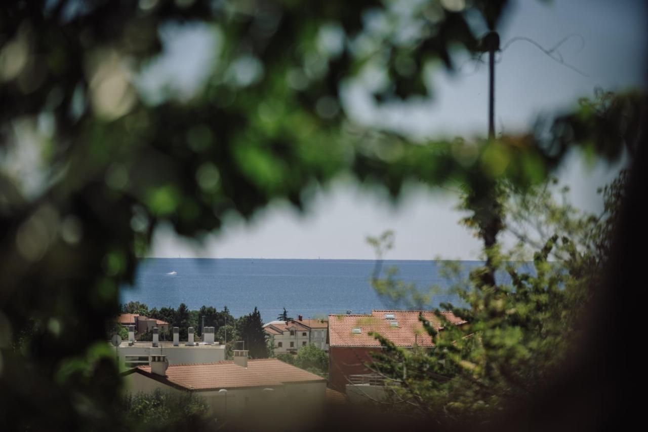Belvedere Holidays Novigrad Istria エクステリア 写真